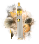 Dime | Signature Line | Cantaloupe Dream | 2g AIO
