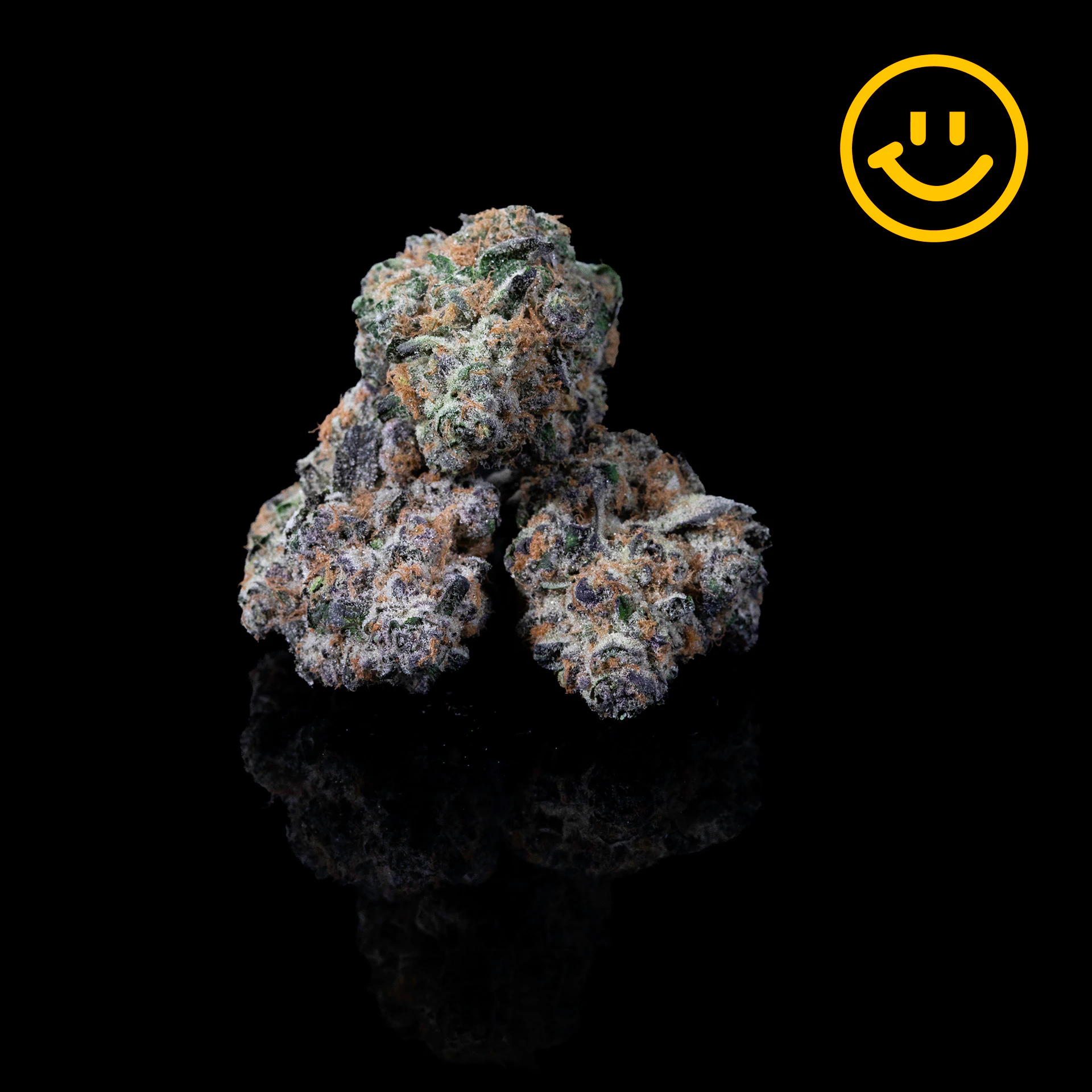 Excolo - Excolo | Super Boof | indoor flower Main Image