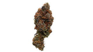 True Genetics | Cereal Milk | 3.5g