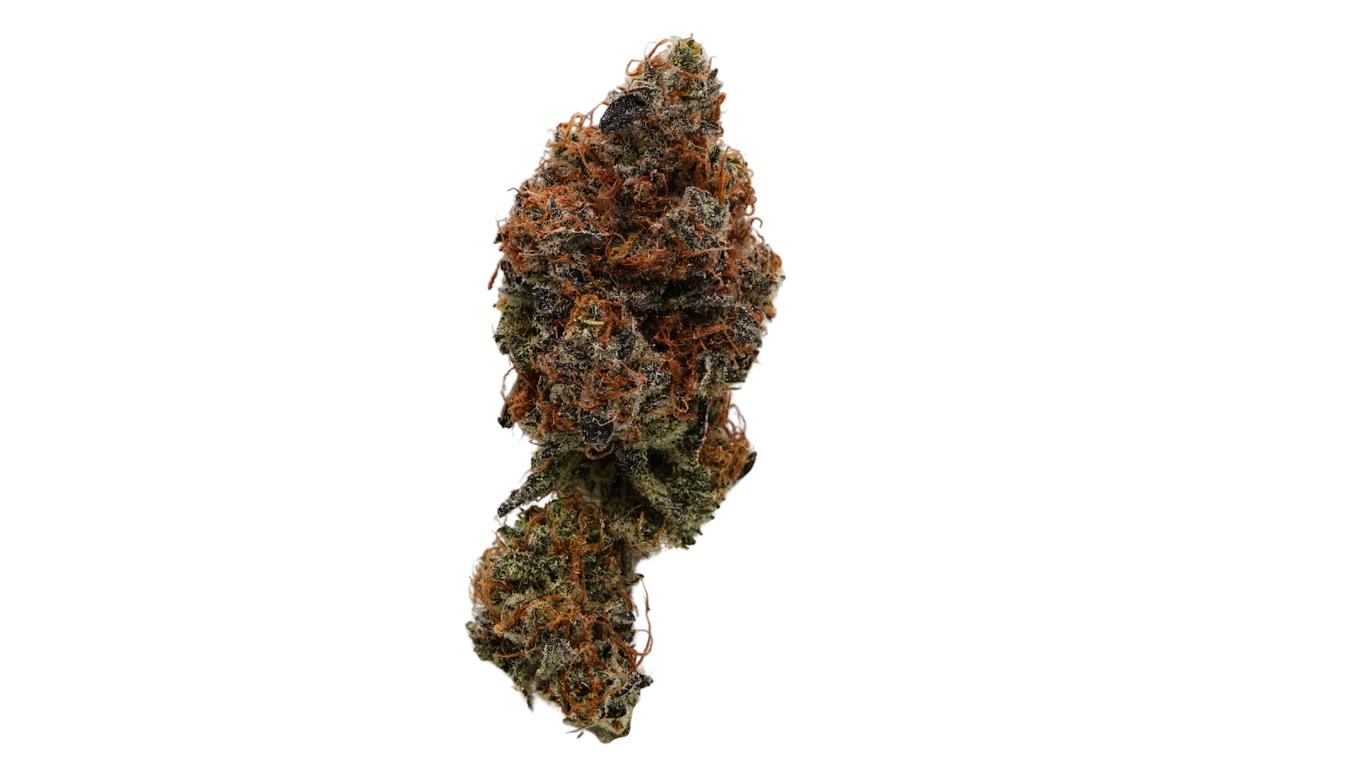 True Genetics - True Genetics | Cereal Milk | 3.5g Main Image