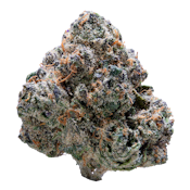 XOTX Jet Fuel Gelato 7g Flower