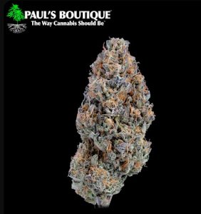 Paul's Boutique - Paul's Boutique | Cheddar Valley | 3.5G