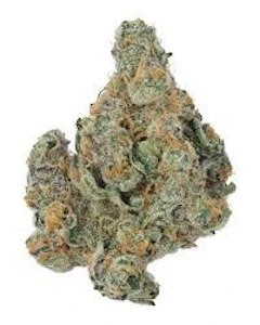 FLO - CHEETAH PISS 1/8oz