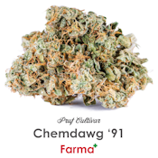 Pruf Cultivar Chemdog '91