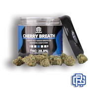 Cherry Breath Flower | Oz Special