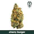Grassroots | Cherry Burger (smalls) | 7g