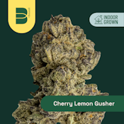 The Botanist | Cherry Lemon Gushers | Indica | 14G 