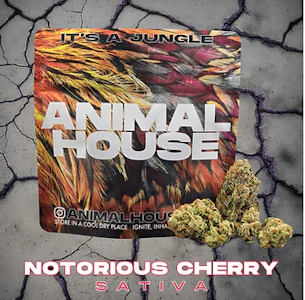 Animal House - Animal House | Notorious Cherry | 3.5g Sativa 