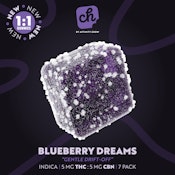 Chew 1:1 Blueberry Dreams Gummies I 00526