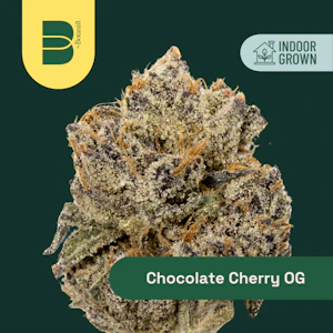The Botanist - The Botanist | Chocolate Cherry OG | 14g