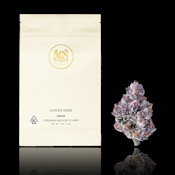 Chrome Dome (Minis) - 14g (S) - Maven