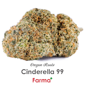Oregon Roots Cinderella 99