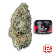 Cindy 99 Flower | Quarter Special