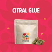  Springtime | Citral Glue | 3.5g