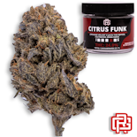 Citrus Funk Flower | Eighth Special