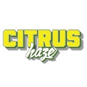 Flower | Craft Kings | Citrus Haze | 14g