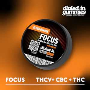 Dialed In - Dialed In - Gummies - FOCUS - 100mg