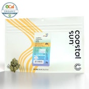 COASTAL SUN - Cadillac Rainbows 28g