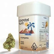  COASTAL SUN - Crumpets 7g