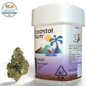 COASTAL SUN - Hash Burger 3.5g