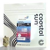 COASTAL SUN - Obama Runtz 14g