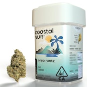 COASTAL SUN - Oreo Runtz 3.5g