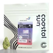 COASTAL SUN - Street Tartz 14g
