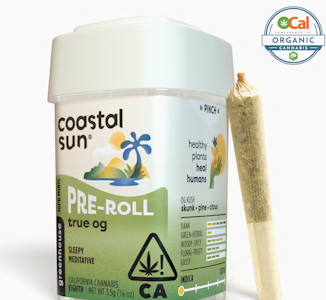 Coastal Sun - Coastal Sun - 10pk Pre Rolls - Ice Cream Cake