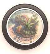 COCOA CANE ISLAND 6pk SEEDS