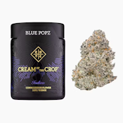 COTC - Flower - Gumball - BIGS - 3.5G