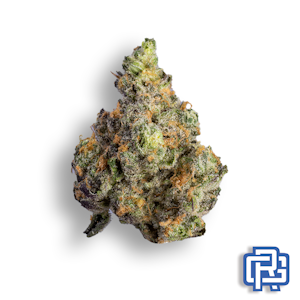 THE HEIGHTS CO - Courtside Cookies Flower