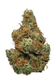 Flo - CRITICAL KUSH 1/4oz Main Image