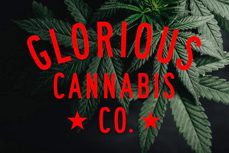 Glorious Cannabis - Mini Madman - 28g - Glorious Cannabis