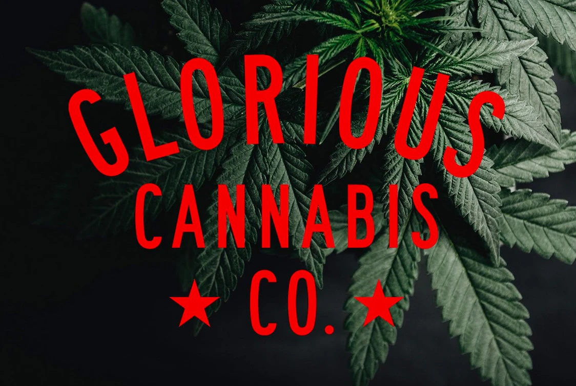 Glorious Cannabis - Mini Madman - 28g - Glorious Cannabis Main Image