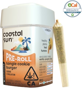 COASTAL SUN - Tangie Cookie Burger 10pk
