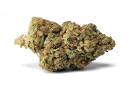  Madrone | Motorbreath | 28g