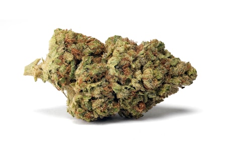 MADRONE - Madrone | Motorbreath | 28g