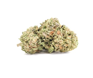 CANNA TRUST - Guzzlerz 28g