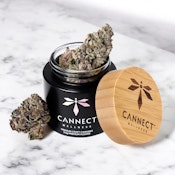 Cannect Wellness | Premium Flower | Acai Gelato x Sherb | 3.5g