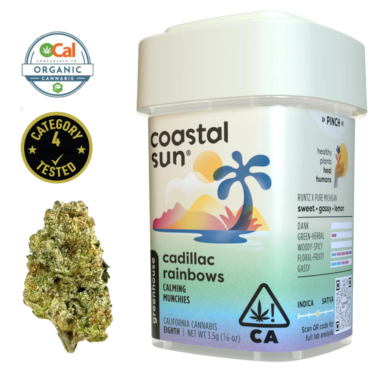 Coastal Sun - Cadillac Rainbows (H) | 3.5g Greenhouse Flower | Coastal Sun Main Image