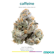 MOCA Flowers - 1/8th Mylar Bag - Caffeine