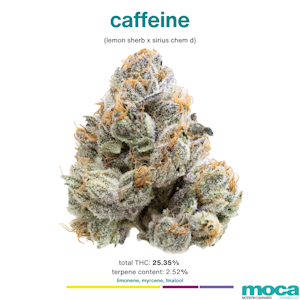 MOCA Flowers - MOCA Flowers - 1/8th Jar - Caffeine