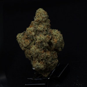 THE HEMPIRE COLLECTIVE - THC | Cupid Runtz