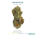Product Preview Image 1
