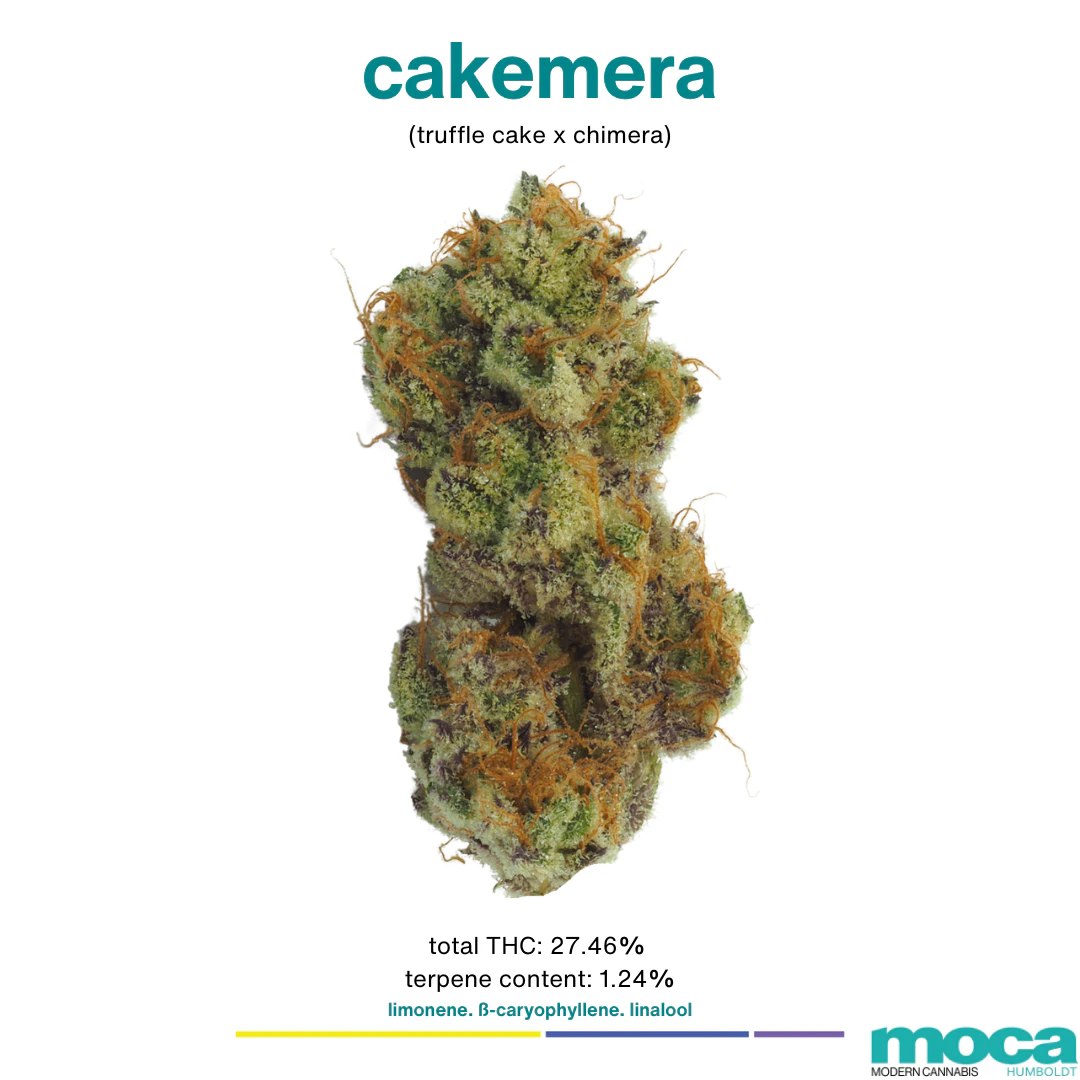 MOCA Flowers - MOCA Flowers - 1/8th Mylar Bag - Cakemera Main Image
