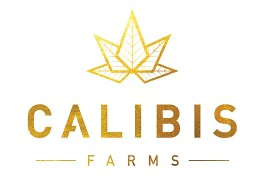 CALIBIS - Calibis AIO 1g Sunburst Disposable Main Image
