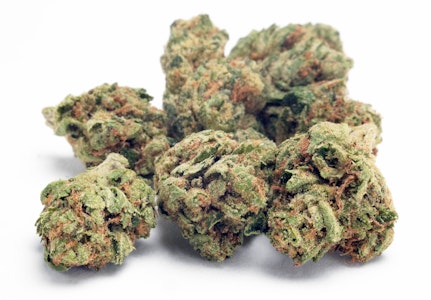 Glass House - Glass House | Gelato #41 x Animal Mints | 1g