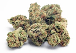 Autumn | Frosted Fuel | 7g