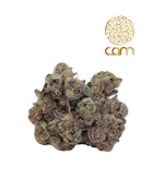 CAM Pop