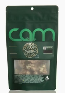 CAM - CAM Brain Dead 1/2 31%